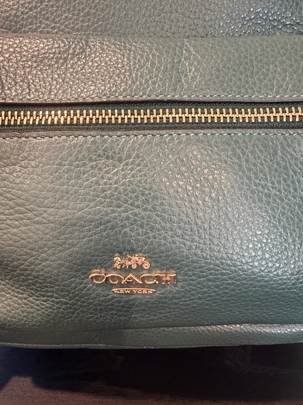 Coach Green Pebbled Leather Mini Backpack with Gold Hardware - Picture 2 of 12